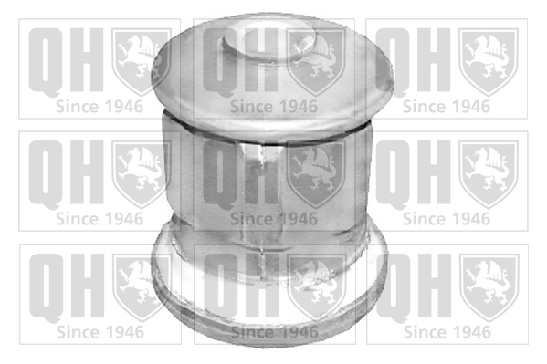Silentblock del puente trasero para Ford Fiesta Mk3 GFJ