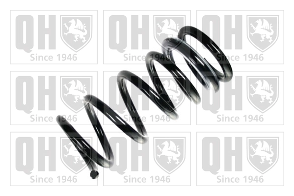 Muelle C4M11042 OBK