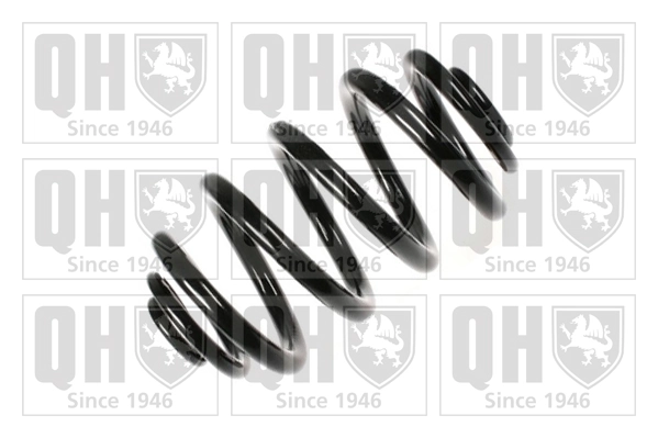 Muelle trasero BMW X3  (2004-2010)