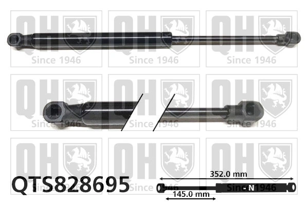 Amortiguadores de maletero Audi A5  (8T3)