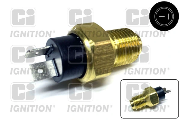 133893 Peugeot/Citroen Sensor temperatura refrigerante