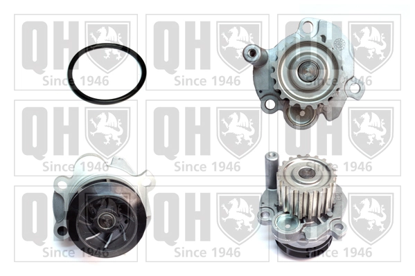 Comprar 1637172880 Peugeot/Citroen Bomba de agua para motor