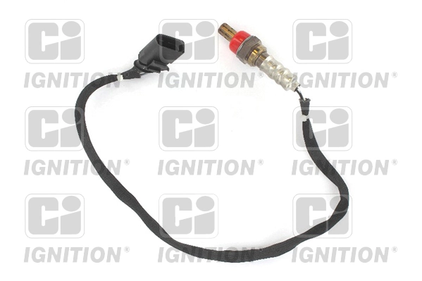 XLOS1550 QUINTON HAZELL
