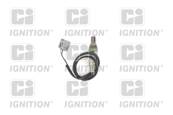 XLOS1557 QUINTON HAZELL