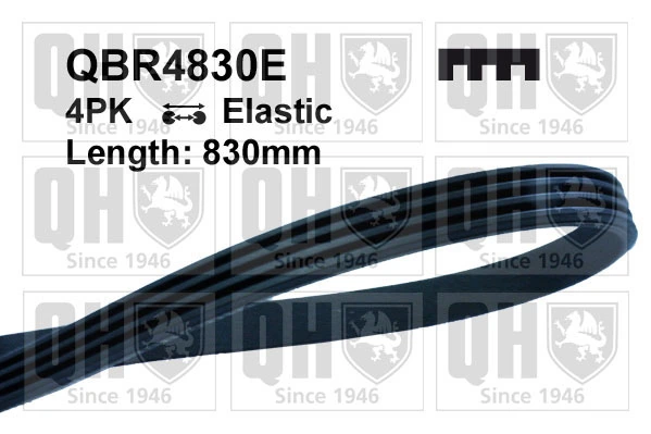 Comprar 11950F4300 Nissan/Infiniti Correa trapezoidal