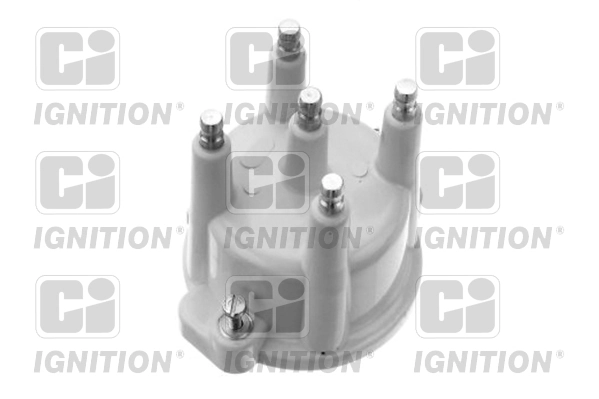 Tapa distribuidor Renault Clio III (2005-2014)