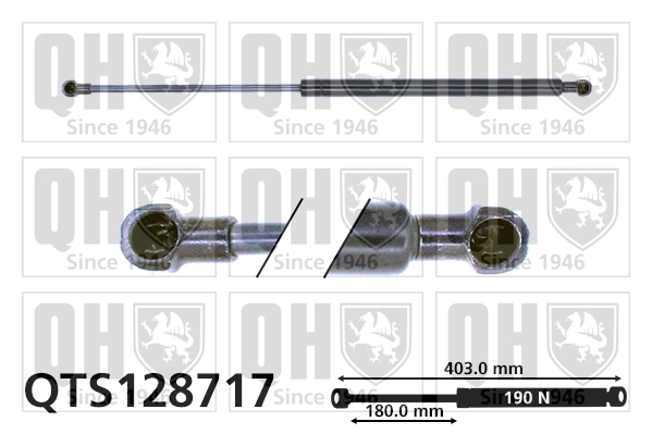 QTS128717 QUINTON HAZELL