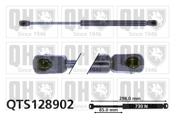 Comprar Amortiguador maletero Audi A6 C6 4F2