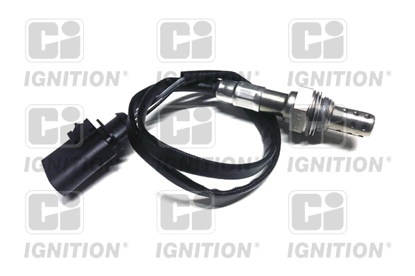 XLOS1554 QUINTON HAZELL