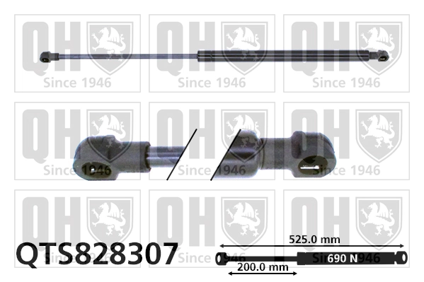 QTS828307 QUINTON HAZELL