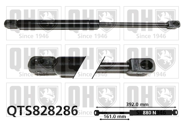 904507914R Renault (RVI) Amortiguador de porton