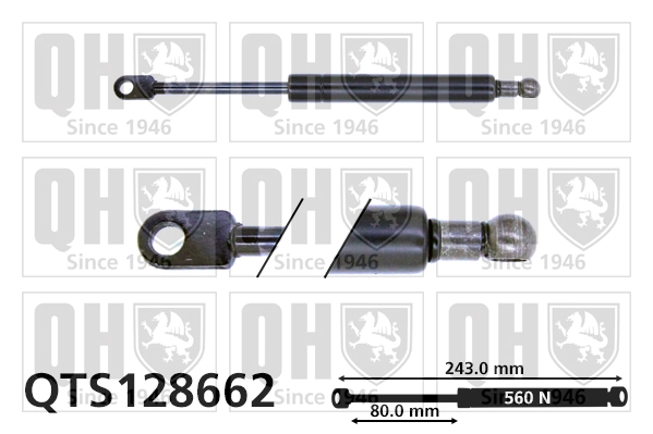 Comprar Amortiguador de la tapa del maletero BMW 5  E39 a bajo precio