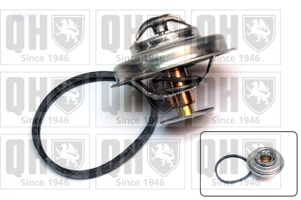 Termostato Renault 18 sedán (134) (1978 - 1986) precio, desde 11,65 EUR