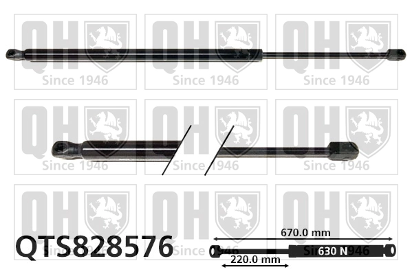 Muelle neumatico maletero Peugeot/Citroen 9806879280