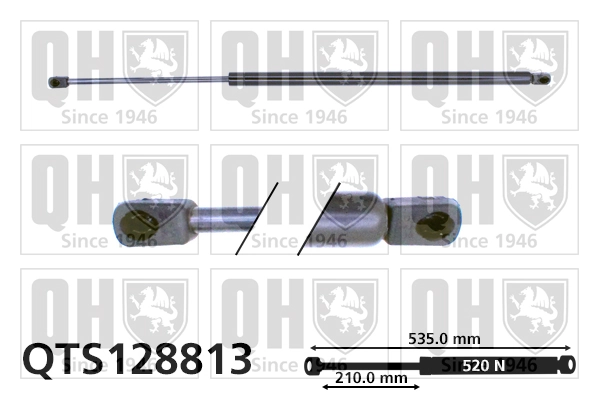 QTS128813 QUINTON HAZELL