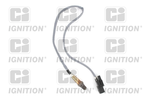 XLOS1764 QUINTON HAZELL