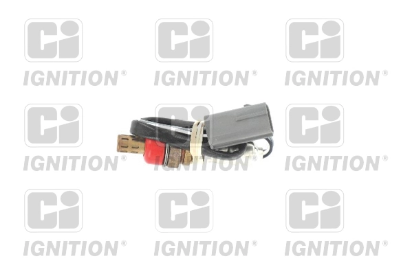 XLOS1574 QUINTON HAZELL