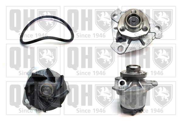 Comprar P524 Tata Bomba de agua para motor