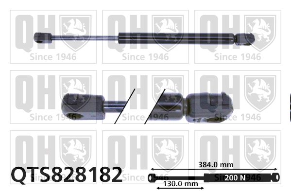 Comprar GS1067 DP Group Amortiguador de vidrio de portón trasero (puerta trasera 3/5)