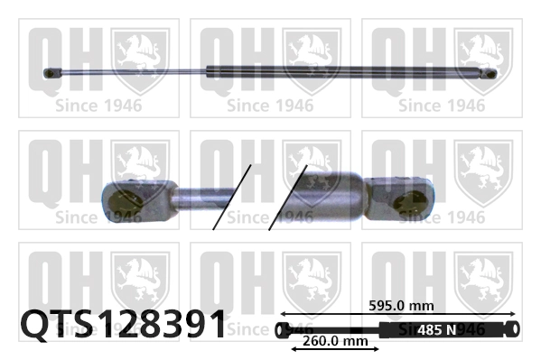 Muelle neumático, tapa delantera Renault Megane SCENIC monovolumen (JA0, JA1) (1996 - 2001) precio, desde 16,00 EUR