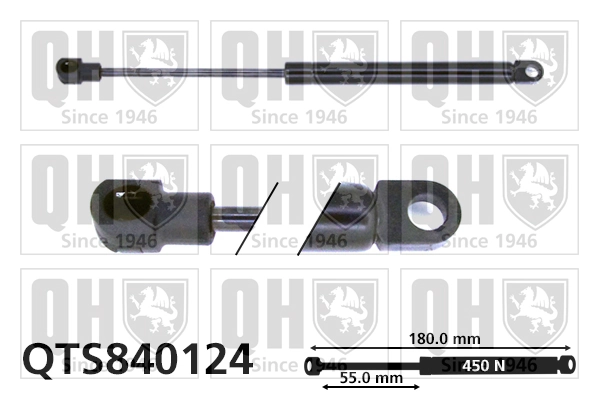 QTS840124 QUINTON HAZELL