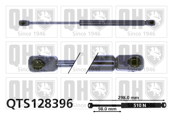 QTS128396 QUINTON HAZELL