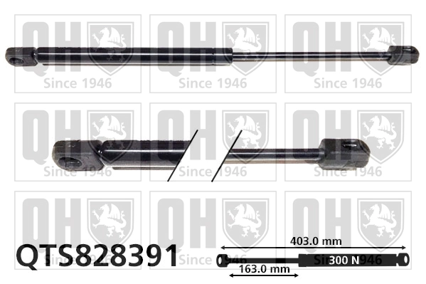 Comprar Amortiguador maletero Land Rover Range Rover II LP, P38A