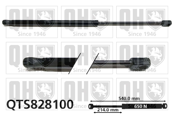QTS828100 QUINTON HAZELL