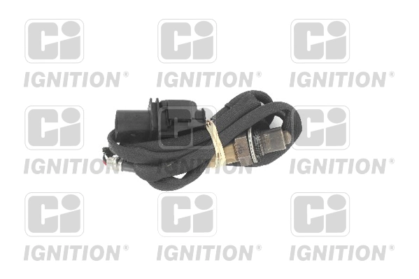 XLOS1829 QUINTON HAZELL