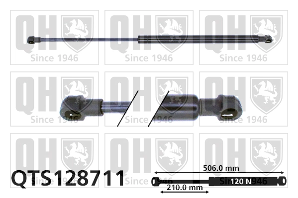 Muelle neumático, tapa delantera Citroen C5  desde 14,93 €