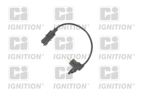 XREV585 QUINTON HAZELL