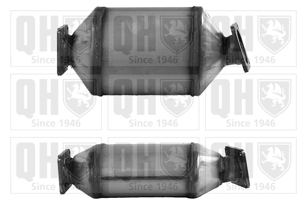 Filtro hollín BMW X5  desde 396,15 €