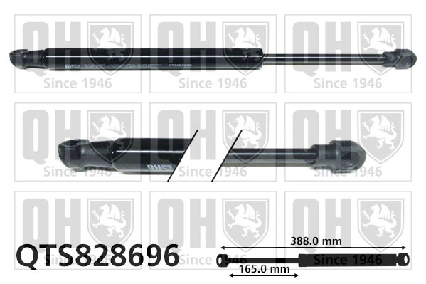 Comprar Amortiguador maletero Audi A4 B8 8K2