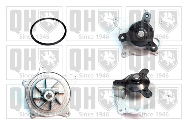 Bombeadora de agua Chrysler Voyager  desde 46,44 €