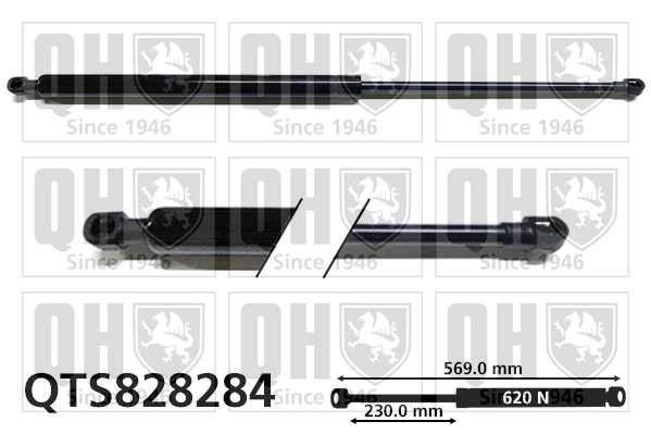 Amortiguador de porton para Renault Laguna III KT0, KT1
