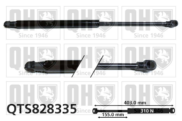 QTS828335 QUINTON HAZELL