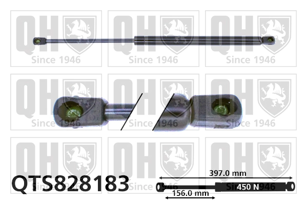 Muelle neumático, tapa delantera KIA Carnival III desde 15,48 €