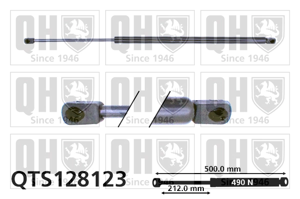 21416306206 Euroex Amortiguador de porton