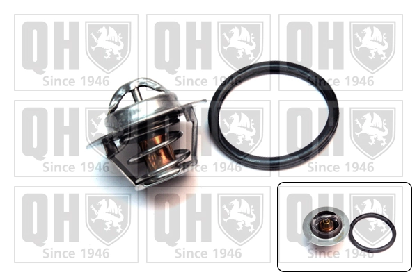 Comprar Termostato Renault Megane I EA0, EA1 a bajo precio