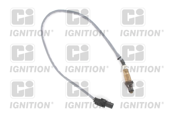 XLOS1807 QUINTON HAZELL