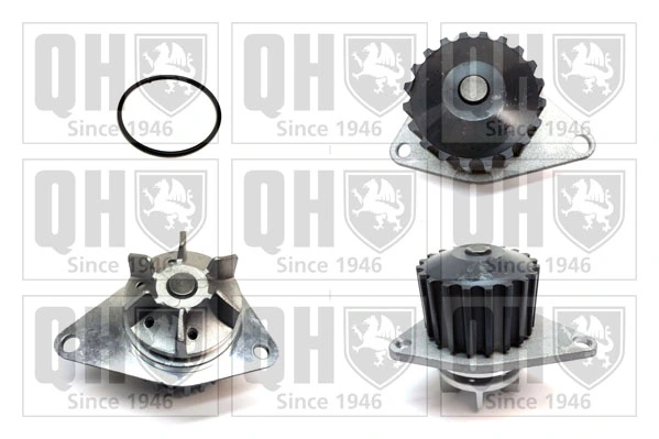 Comprar Bomba de agua Citroen ZX  N2