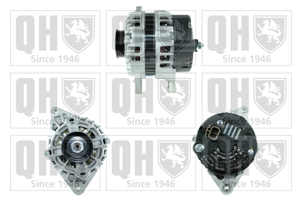 Comprar Dynamo Coupe II GK