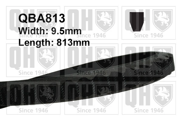 5013519 Ford Correa poly v