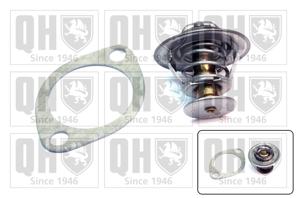 Termostato para Nissan Terrano WD21
