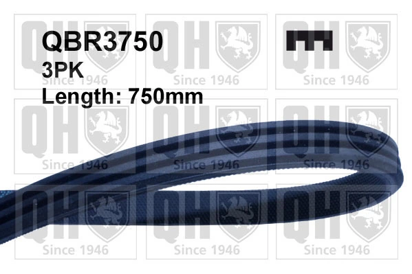 3PK0755 Bando Correa poly v