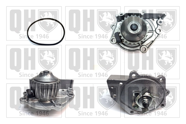 Bombeadora de agua Rover 75  desde 36,99 €