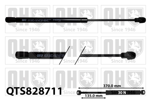  Amortiguador maletero Opel Insignia 