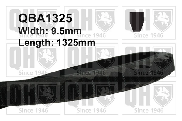 Correa de alternador 3381364 Massey Ferguson