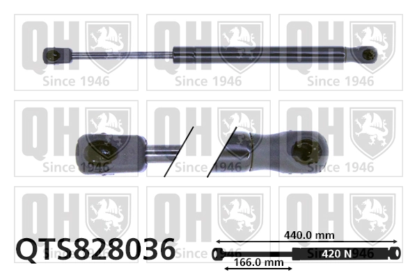 Comprar Amortiguador de puerta trasera SX4  GY