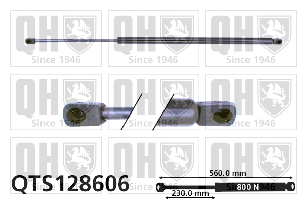 QTS128606 QUINTON HAZELL